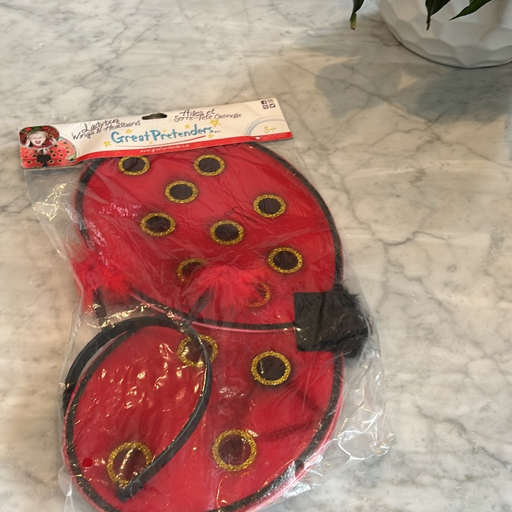 NWT Great pretenders lady bug 🐞costume 3T